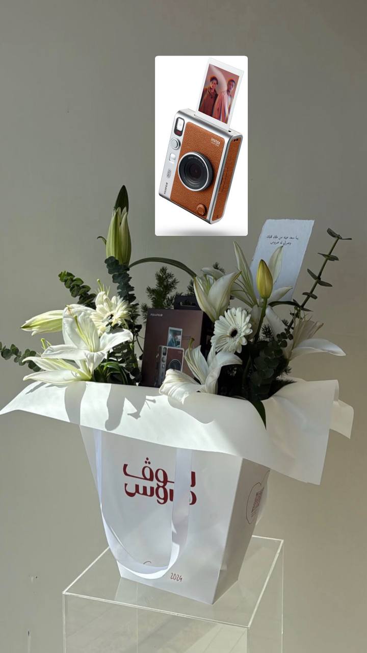 Instax mini evo كاميرا