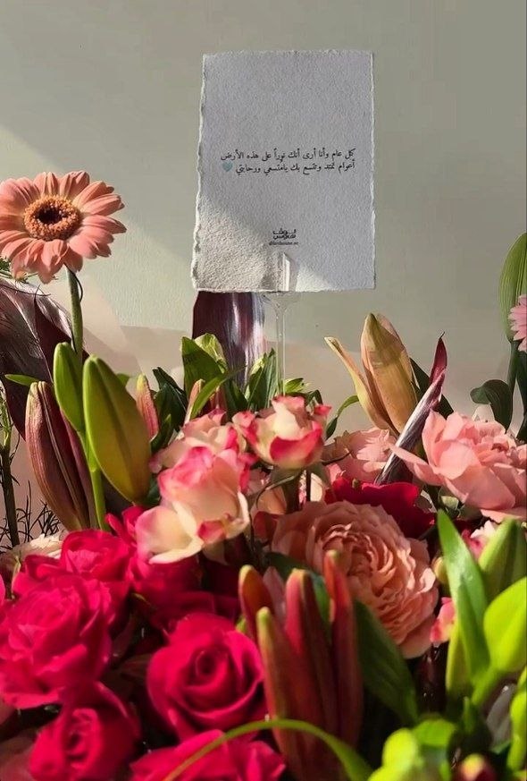 الباقة الناعمة