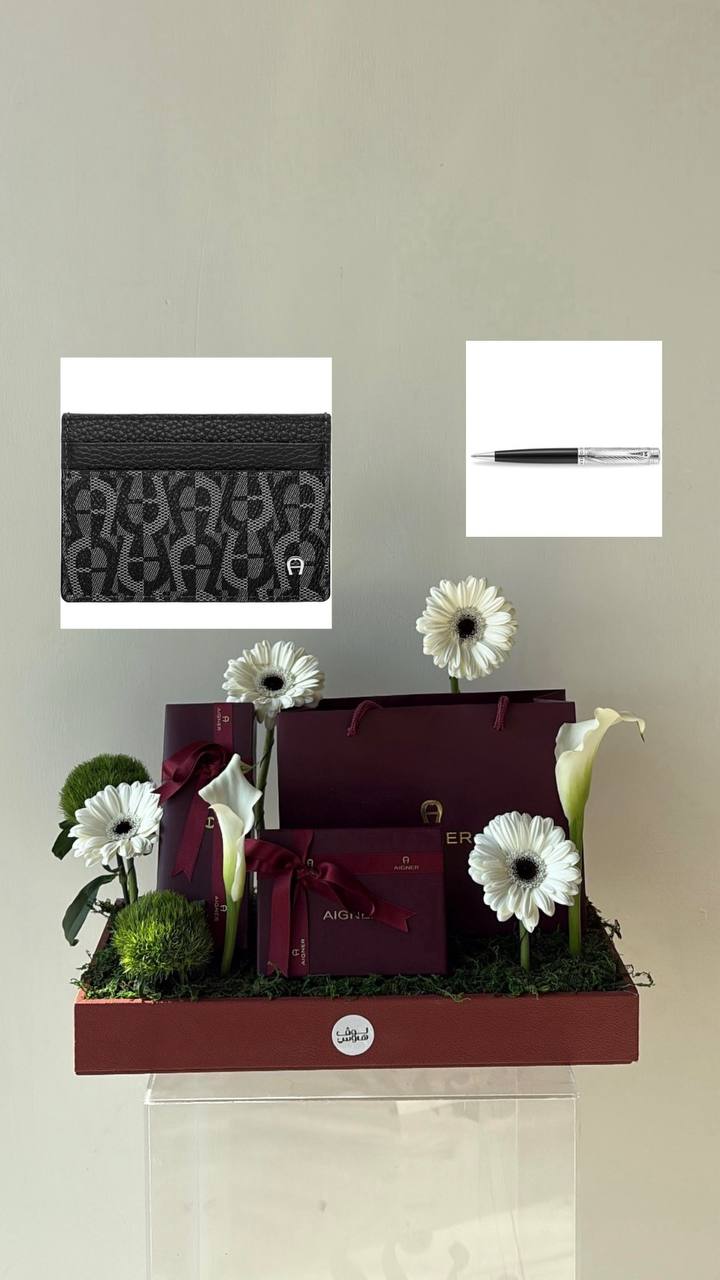 Aigner  قلم وكارد هولدر