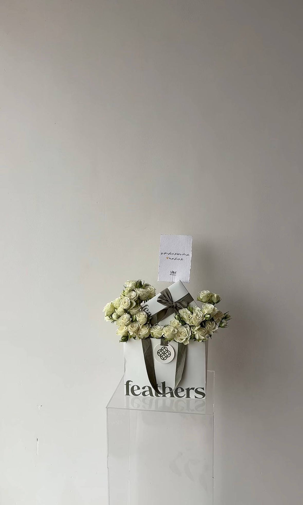 Feathers بوك