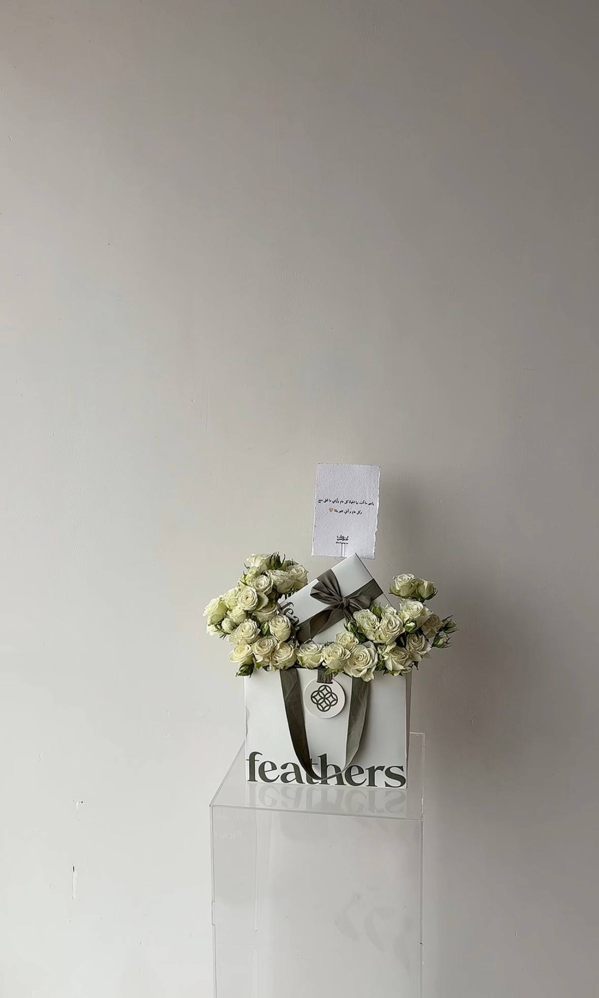 Feathers بوك