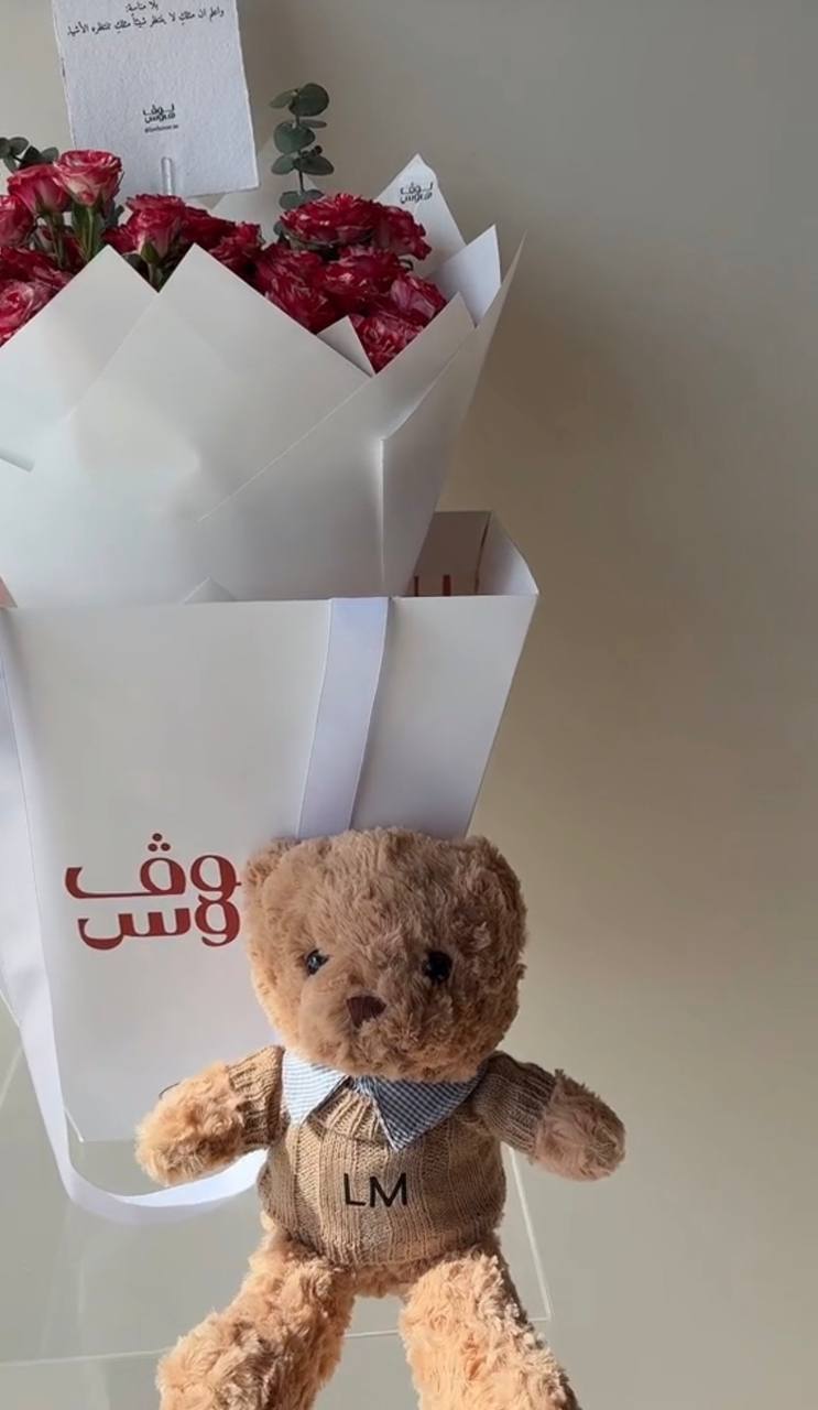 Teddy – big bag