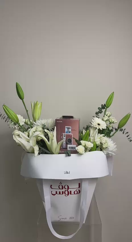 Instax mini evo كاميرا