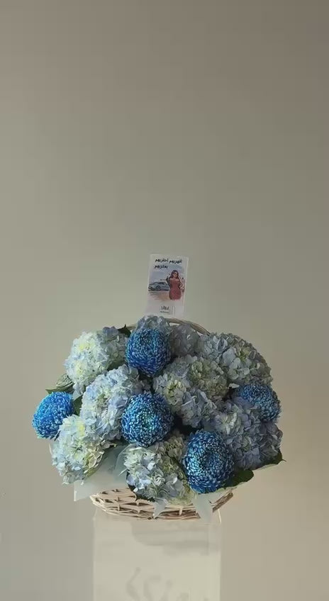 سلة هيدرنجا زرقاءXL