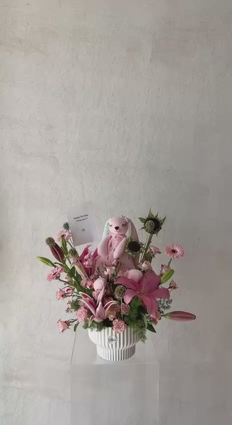 ارنب في فازة