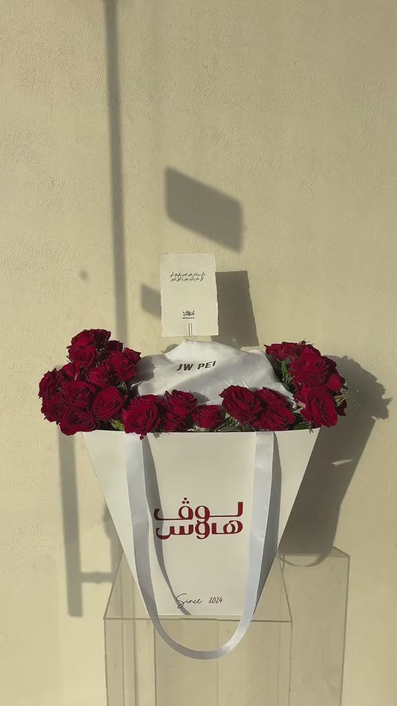 JW Pei شنطة