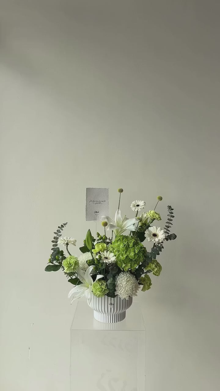 فازه الLily mix