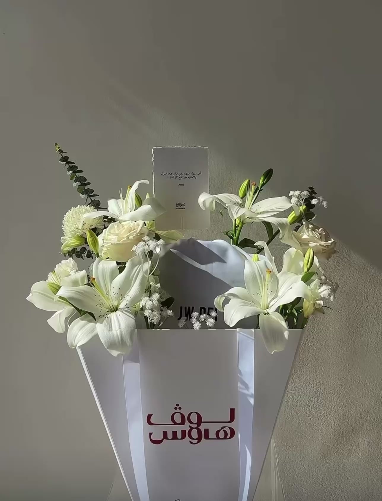 الحمراء Jw Pei شنطة