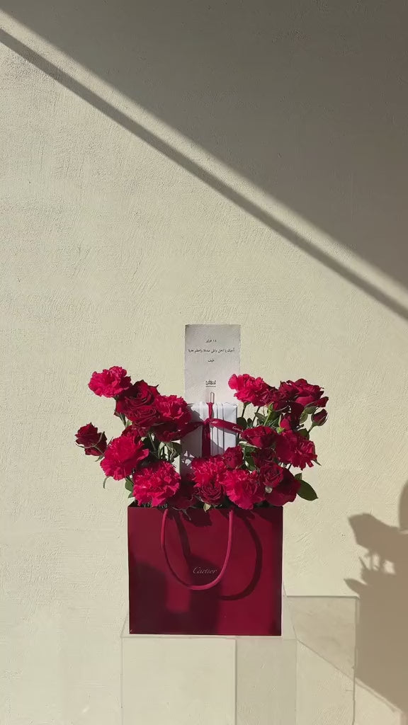 cartier كارد هولدر