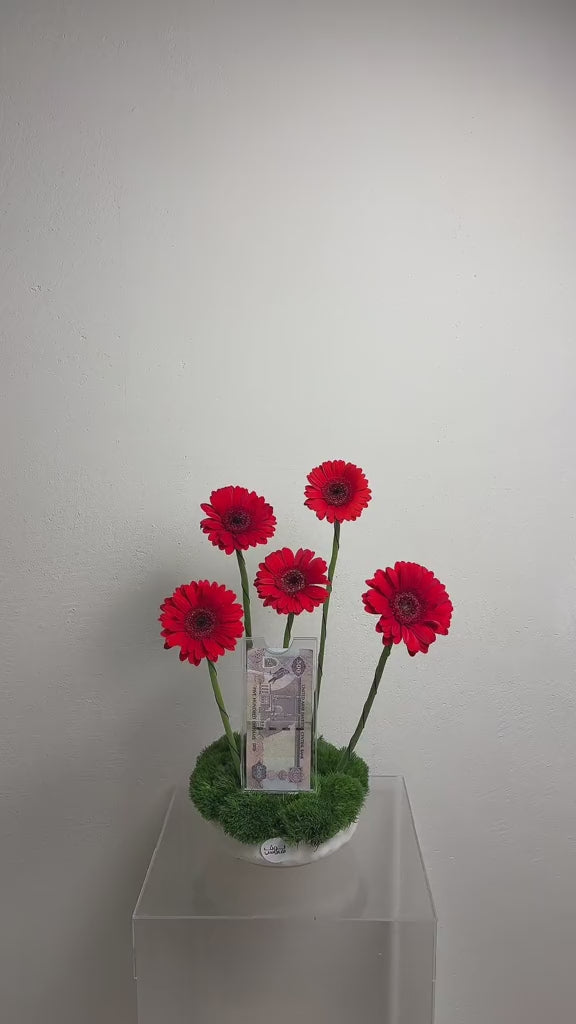 فازة مع 500 كاش