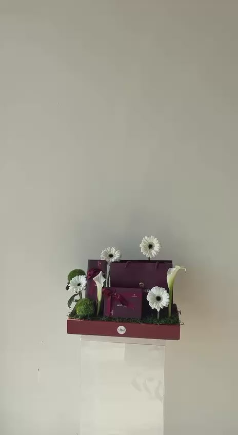Aigner  قلم وكارد هولدر