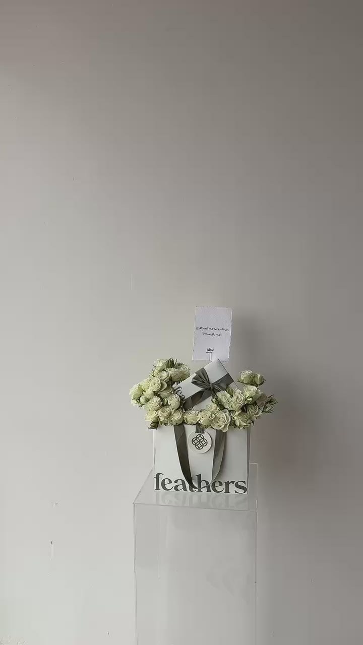 Feathers بوك