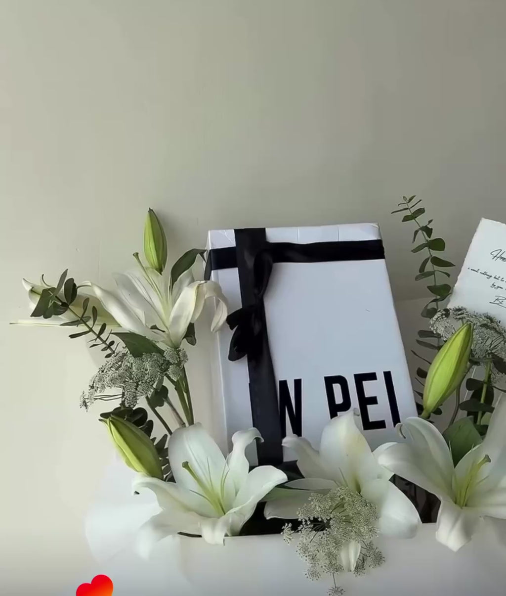 Jw Pei شنطة