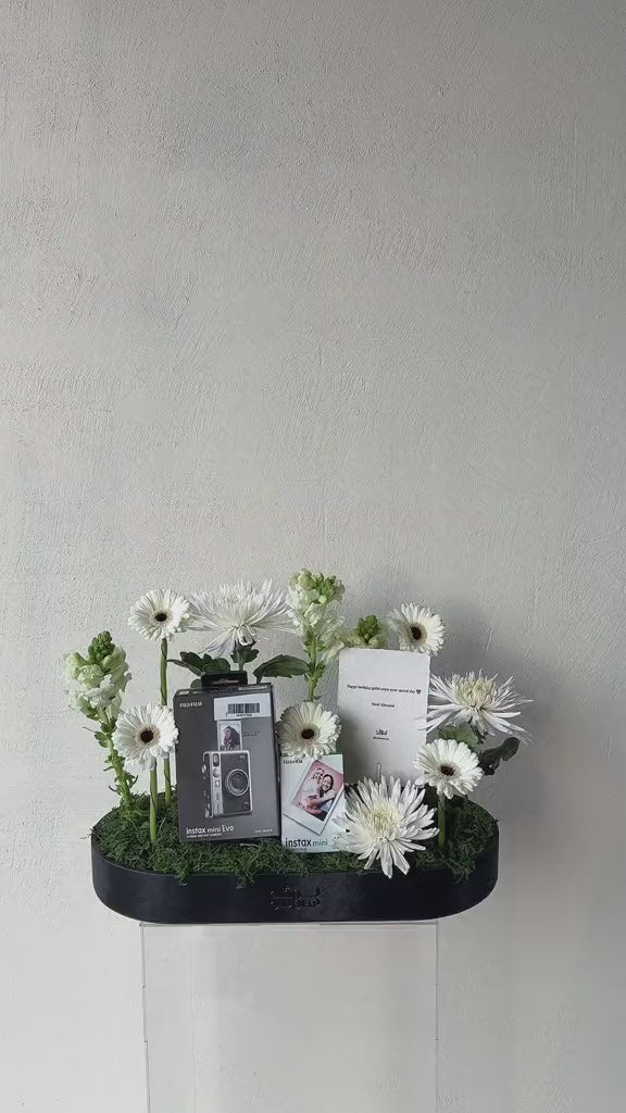 Instax mini evo كاميرا